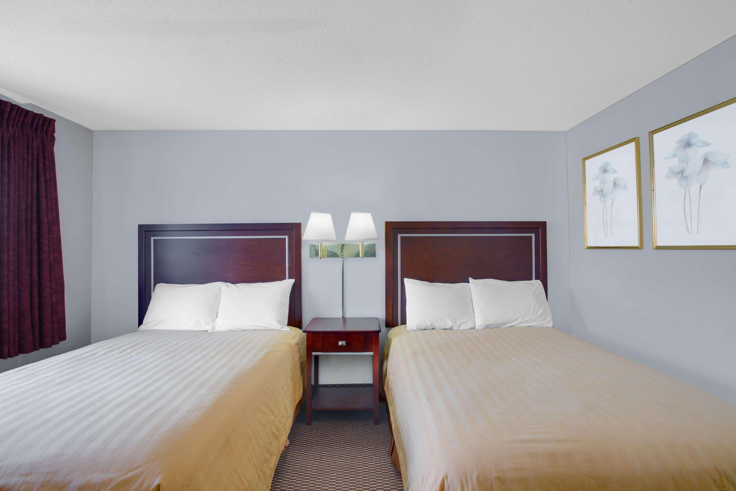 בנגור Queen City Inn מראה חיצוני תמונה